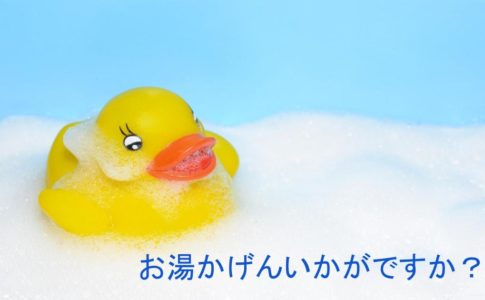 お風呂タイムのひよこ