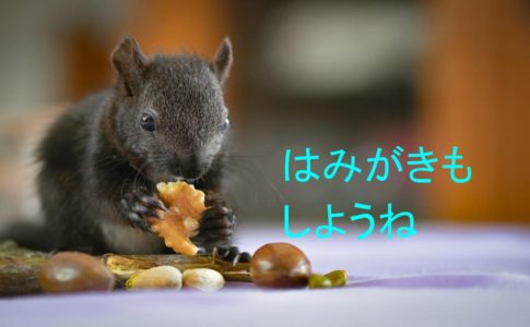 食べたあとは歯磨きをするイメージ