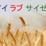 サイゼリヤの美味しい小麦のイメージ