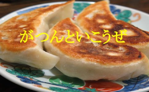 餃子の写真。ラー油をつけて食べるイメージ。