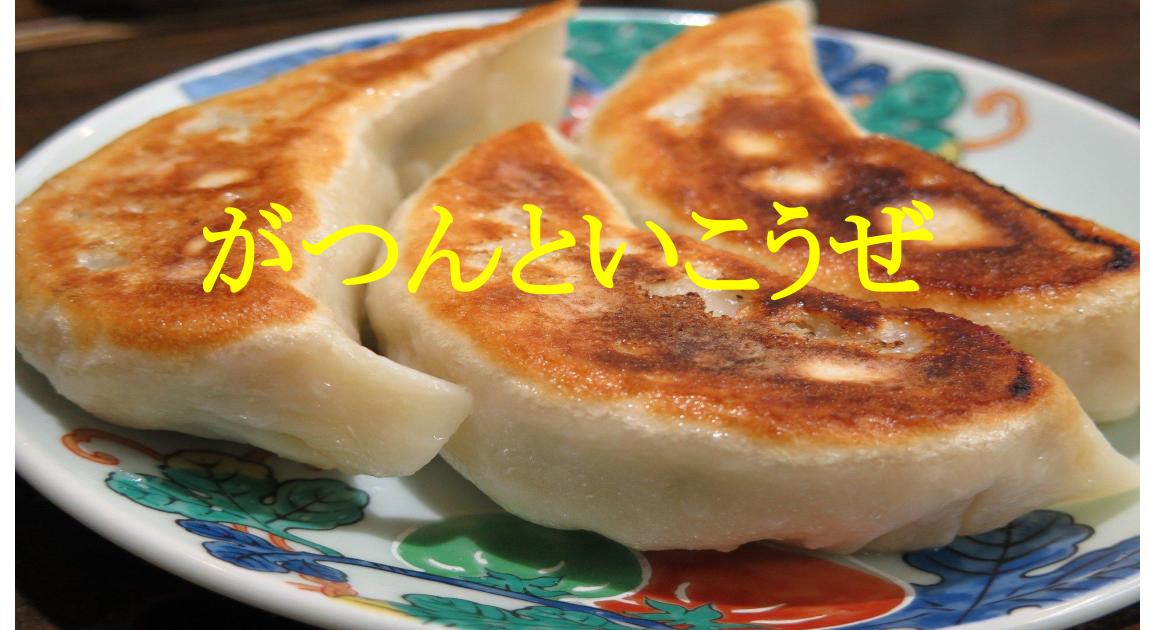 餃子の写真。ラー油をつけて食べるイメージ。